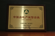 B1、中國房地產(chǎn)誠信企業(yè)2005—2006年